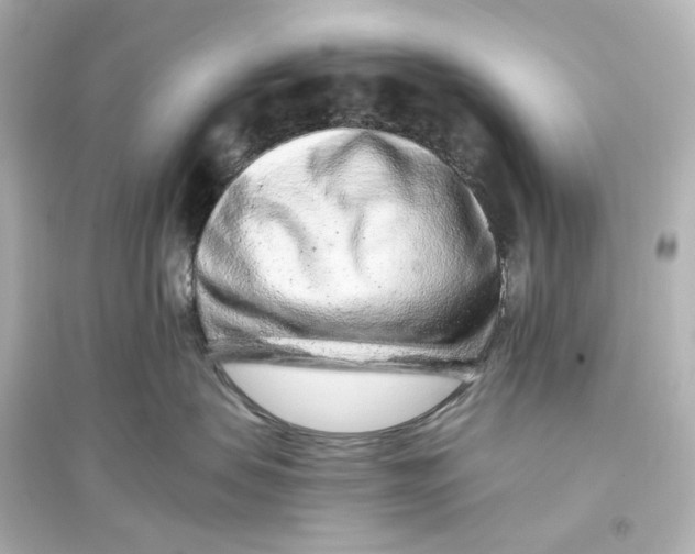 X0000093770479200711131216