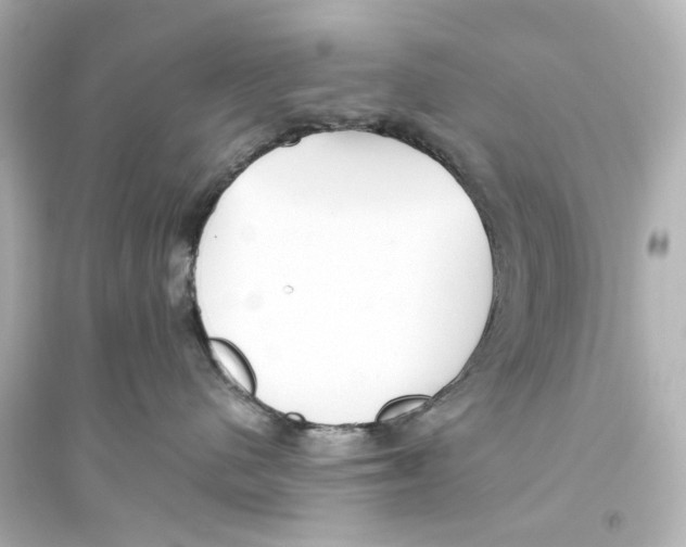 X0000093770480200711131216