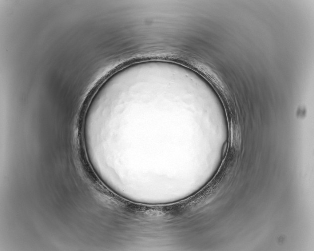 X0000093770483200711131215