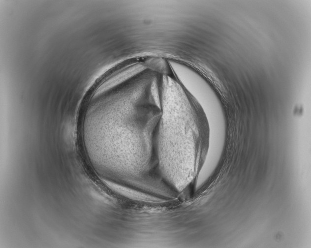 X0000093770484200711131215