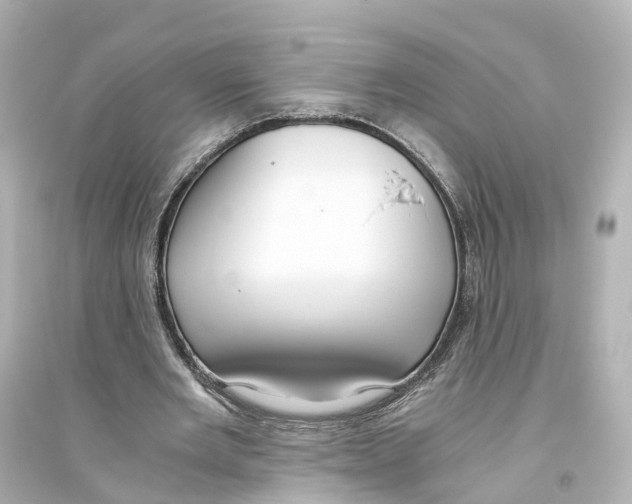 X0000093770485200711131215