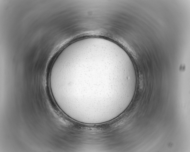 X0000093770486200711131215