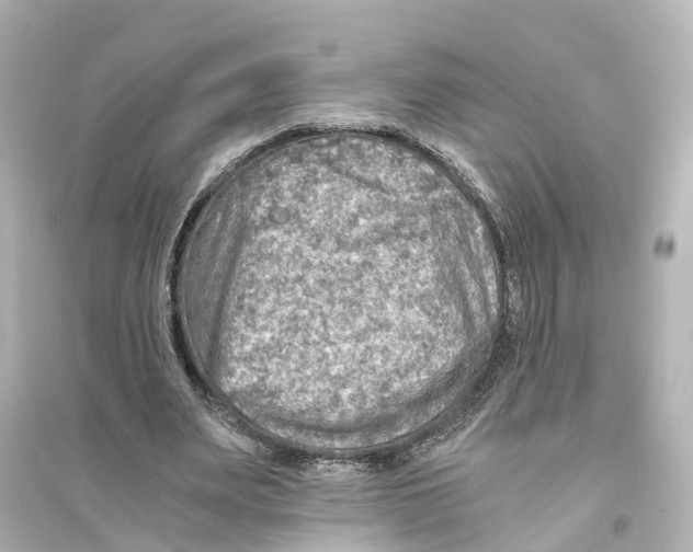 X0000093770487200711131215