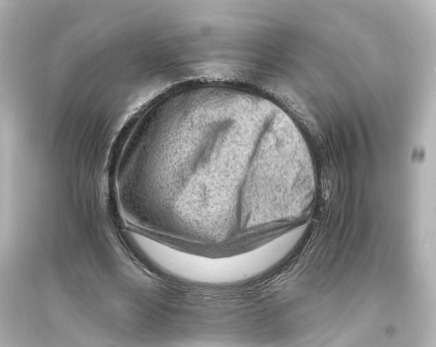 X0000093770488200711131215