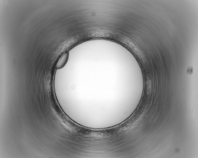 X0000093770490200711131215