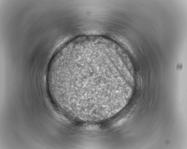 X0000093770491200711131215