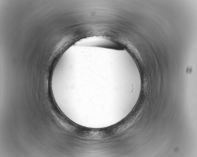 X0000093770493200711131215