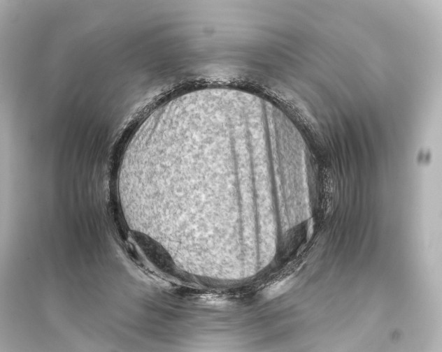 X0000093770496200711131215