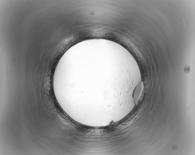 X0000093770497200711131215