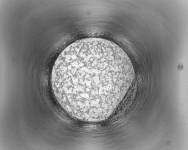 X0000093770499200711131215