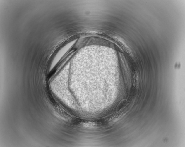 X0000093770500200711131215