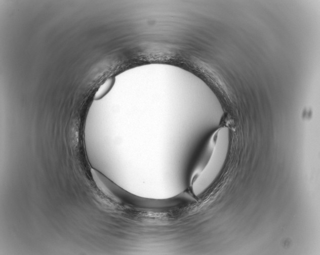 X0000093770501200711131215