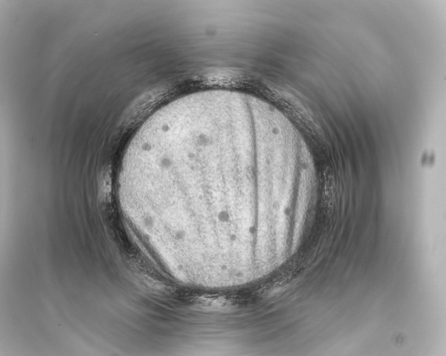 X0000093770502200711131215