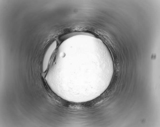 X0000093770503200711131215