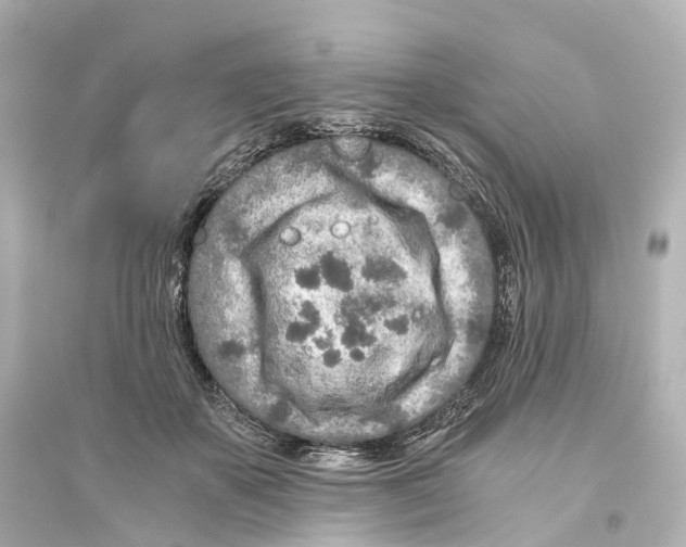 X0000093770507200711131215