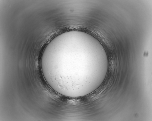 X0000093770508200711131215