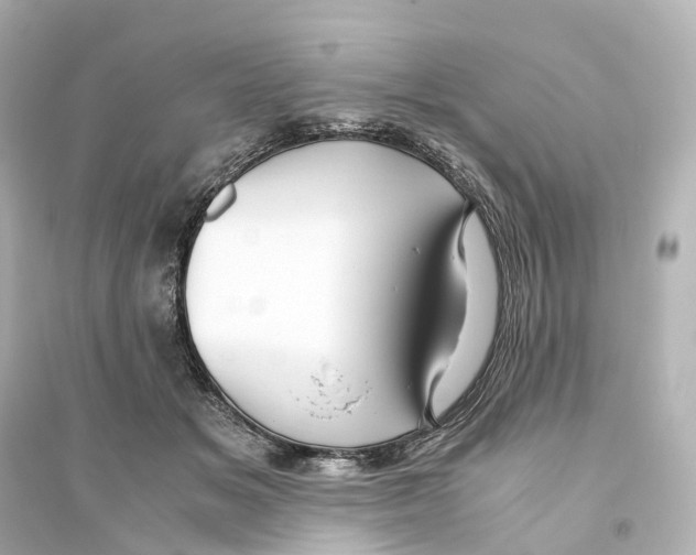 X0000093770509200711131215