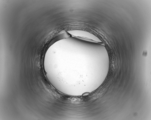 X0000093770512200711131215