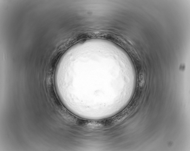 X0000093770515200711131215