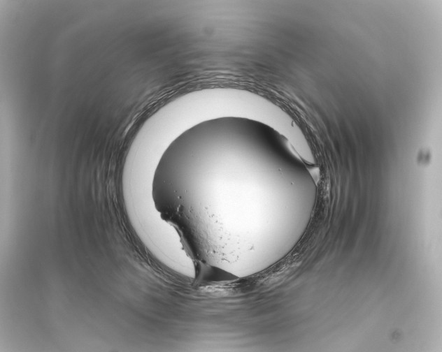 X0000093770516200711131214