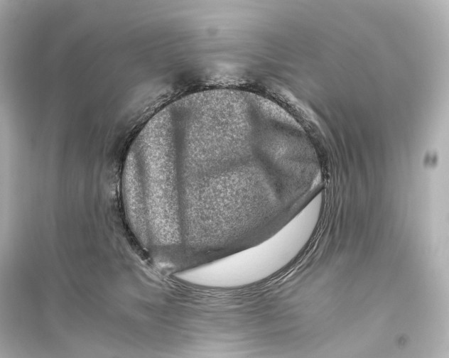 X0000093770517200711131214