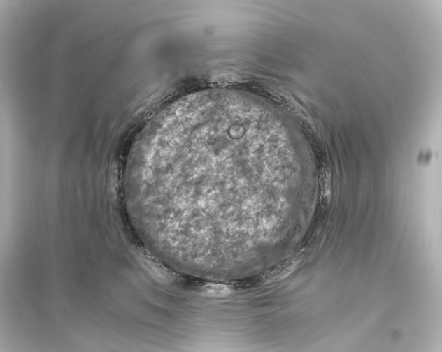 X0000093770519200711131214