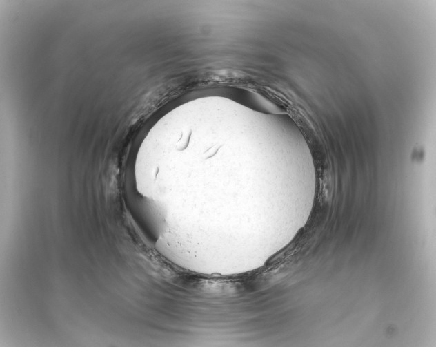 X0000093770520200711131214