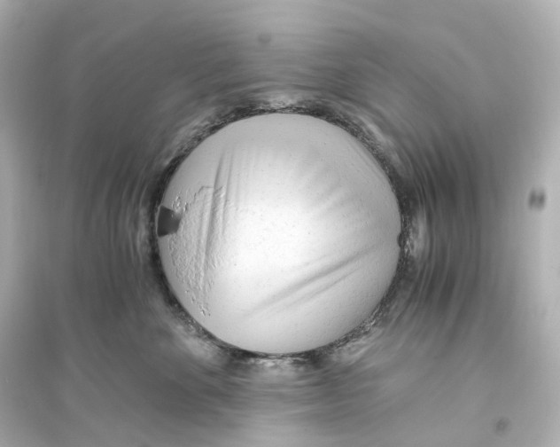 X0000093770524200711131214