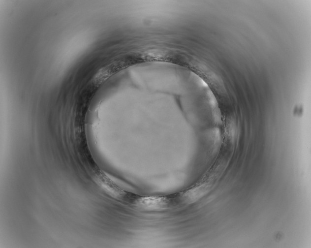 X0000093770526200711131214