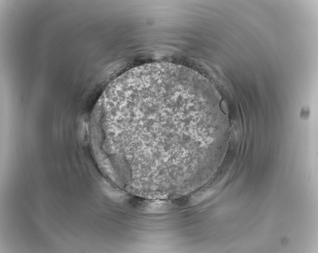 X0000093770527200711131214