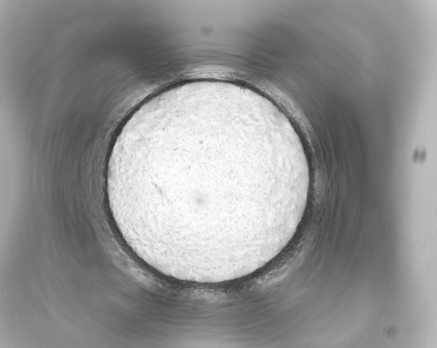 X0000093770529200711131214