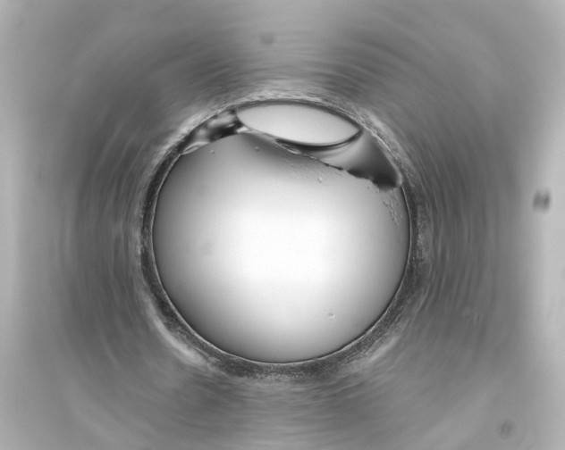 X0000093770530200711131214