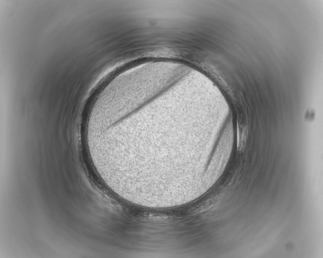 X0000093770531200711131214