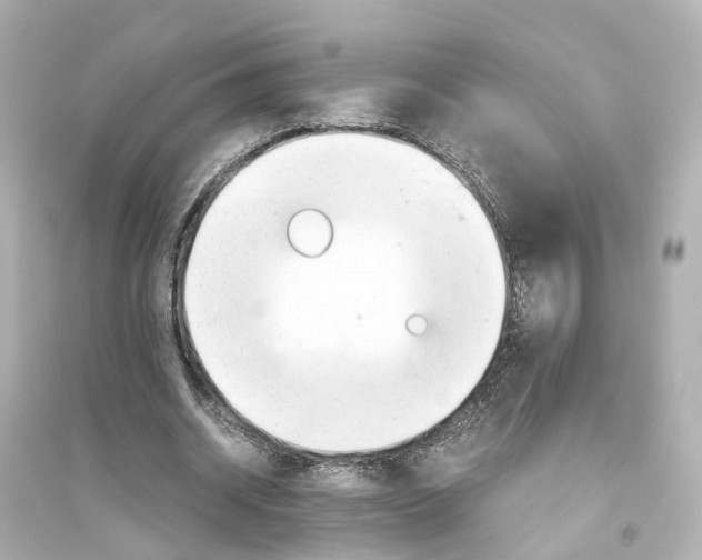 X0000093770534200711131214