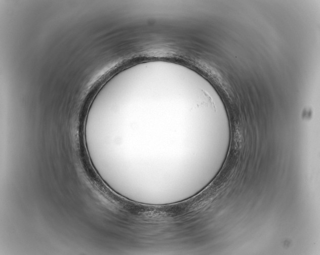 X0000093770535200711131214