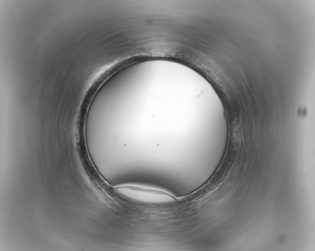 X0000093770536200711131214