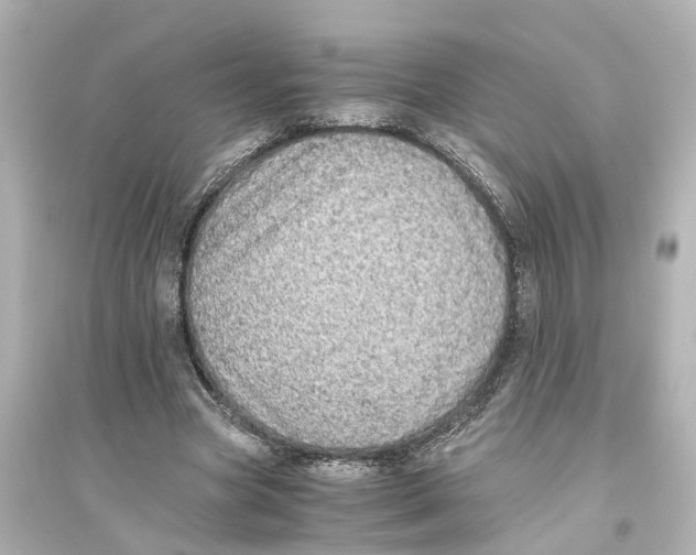 X0000093770537200711131214