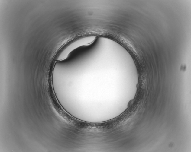 X0000093770538200711131214