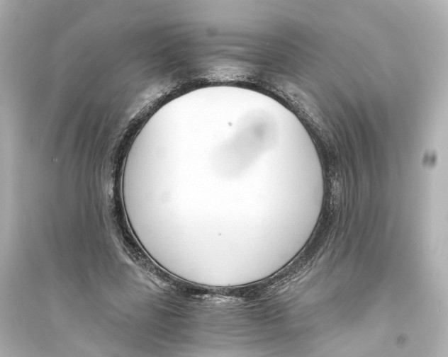 X0000093770539200711131214