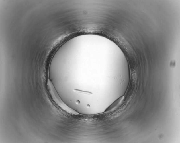 X0000093770540200711131214