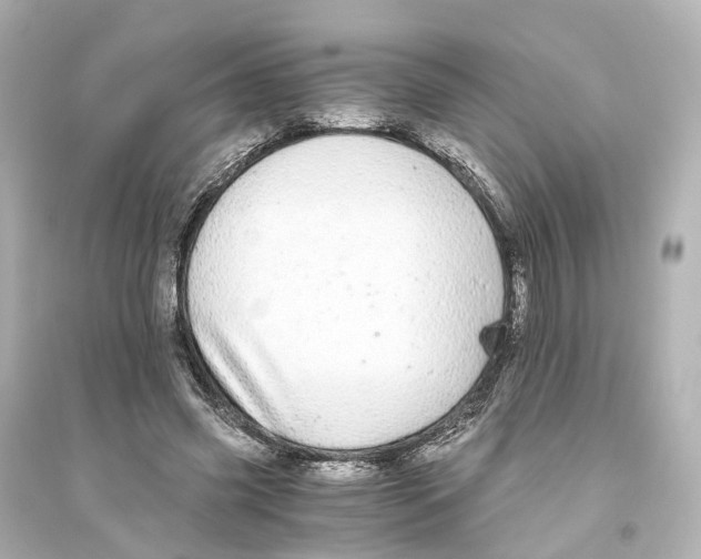 X0000093770541200711131214