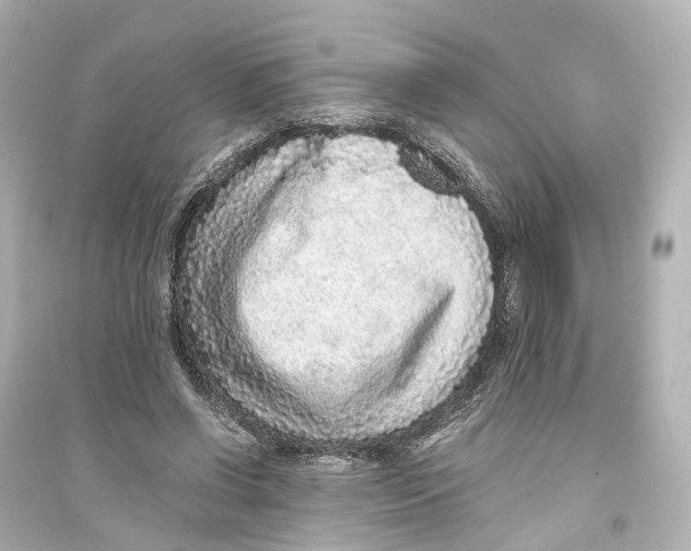 X0000093770542200711131214