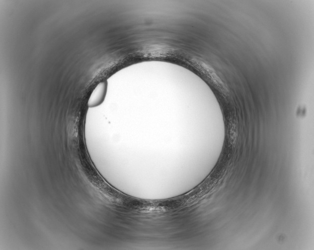 X0000093770543200711131214