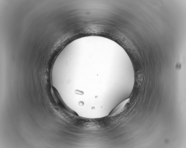 X0000093770544200711131214