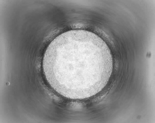 X0000093770545200711131214