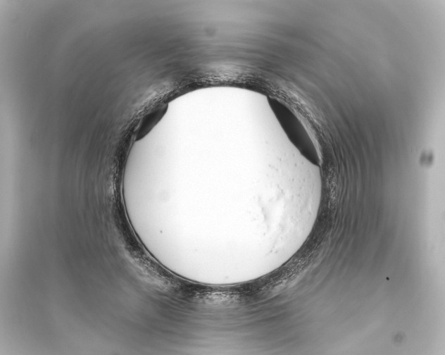 X0000093770546200711131214