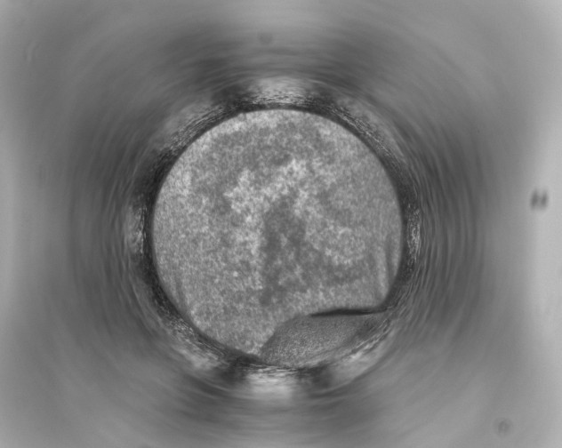 X0000093770551200711131214