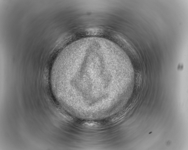 X0000093770557200711131214