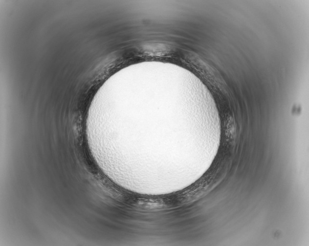 X0000093770559200711131214