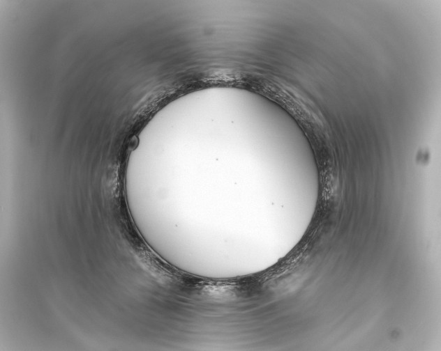 X0000093770560200711131214